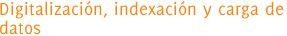Digitalización, indexación y carga de datos